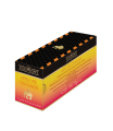 Richmont Apple Pie Cinnamon Herbata 12 saszetek
