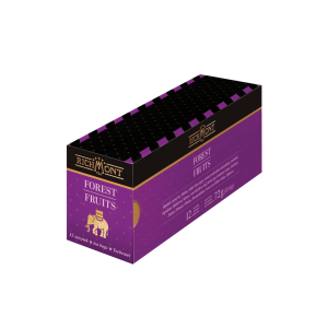Richmont Excellence Forest Fruits Herbata 12 saszetek
