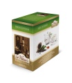 Sir Williams Royal Taste Green Kingdom Herbata 50 saszetek